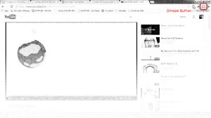 Edited Chrome Browser Screen Shot