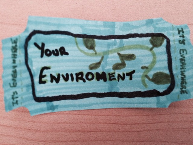What Does Environmental Education Mean To&nbsp;Me?